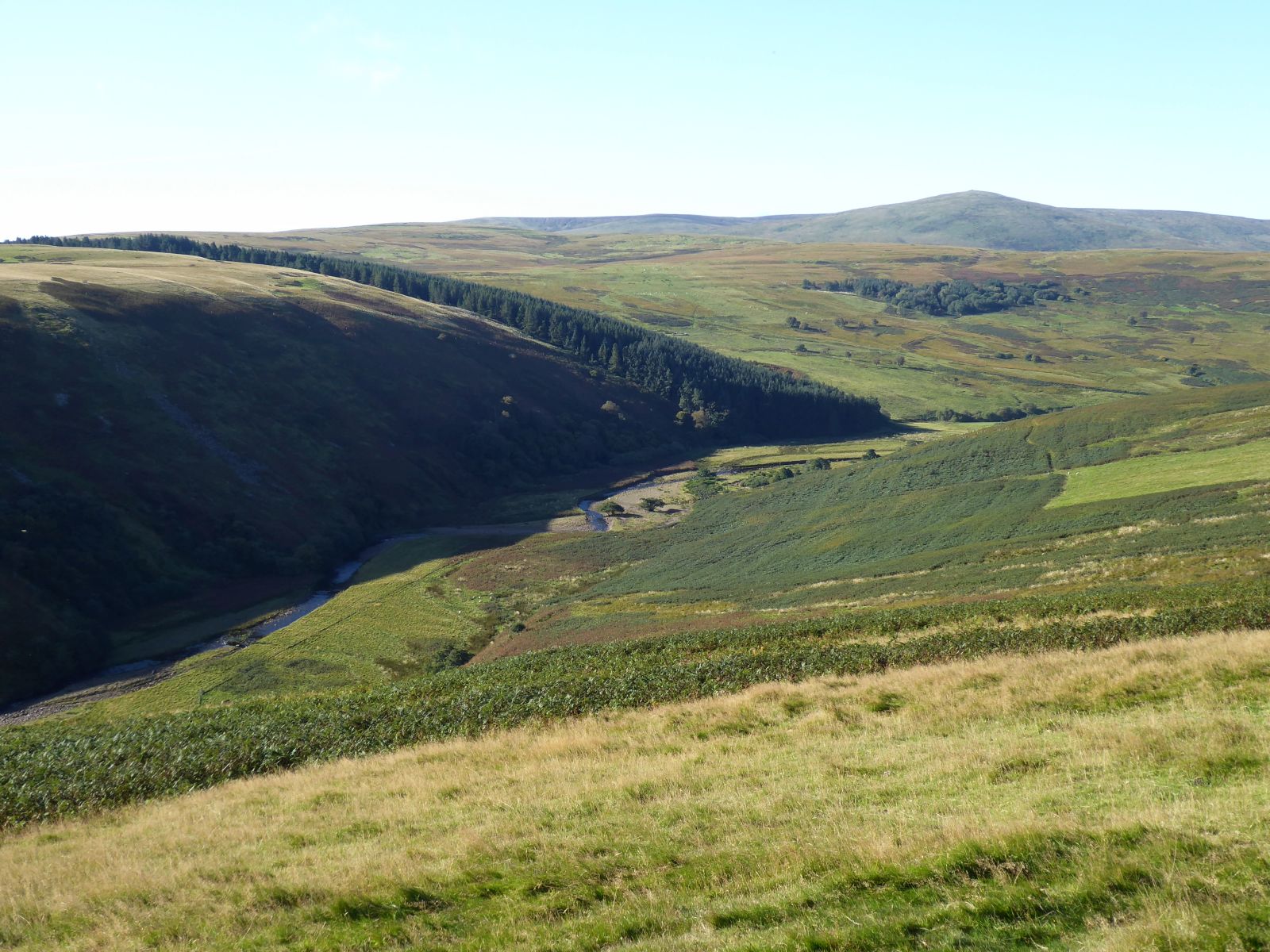 River Breamish winding through an upland valley near Ingram in September 2020; catchment context, not the Harehope restoration works.