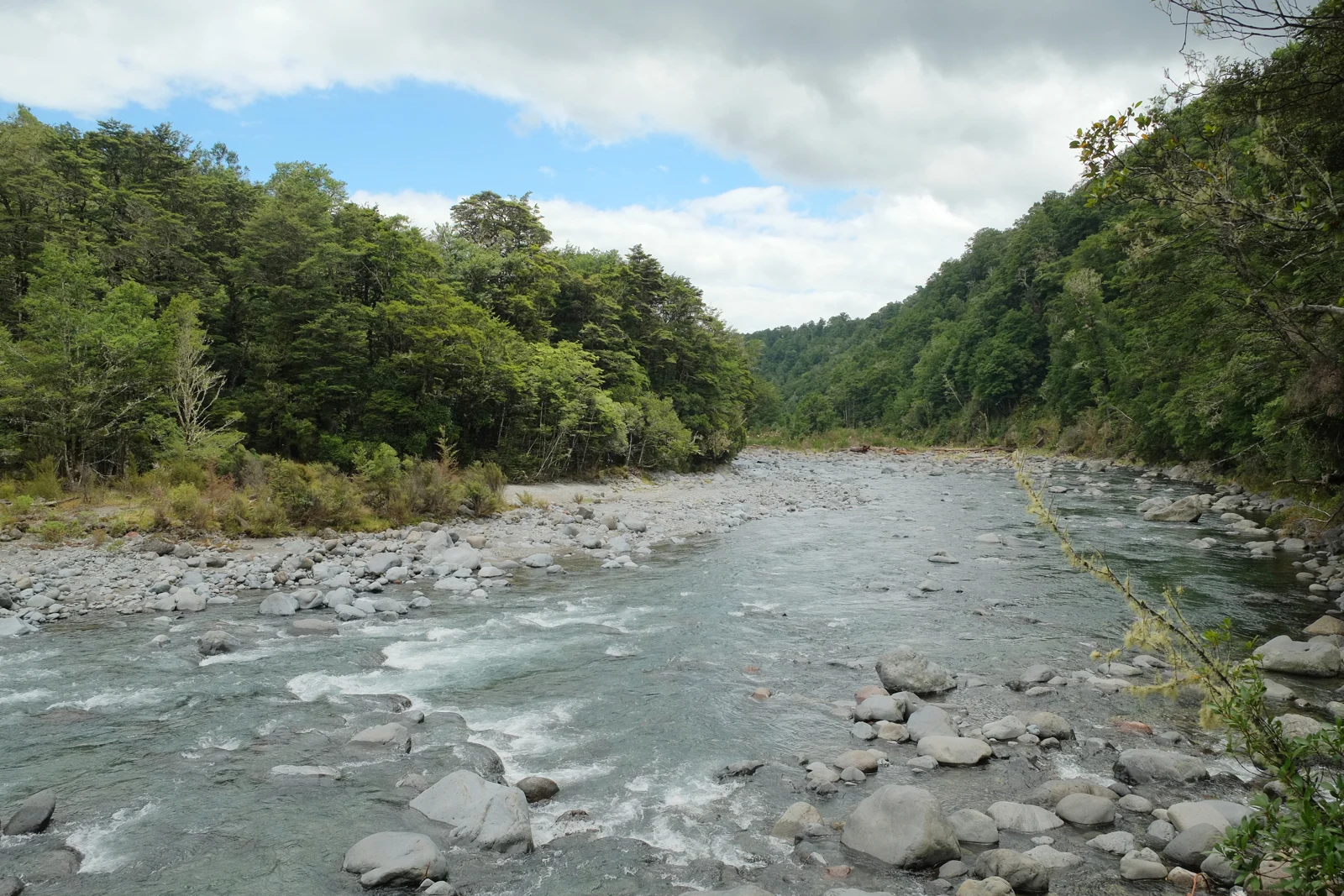 Rocky banks and flowing water on New Zealand’s Tongariro River.