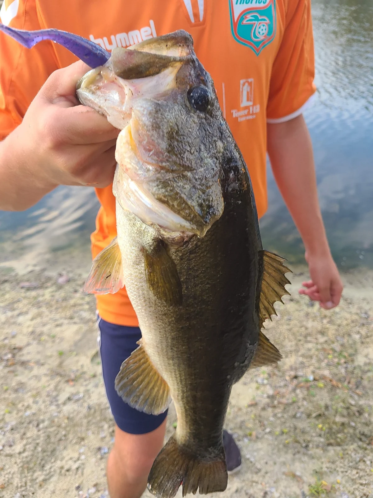 A close view of an angler holding a bass, with a purple soft-plastic lure visible near its mouth.